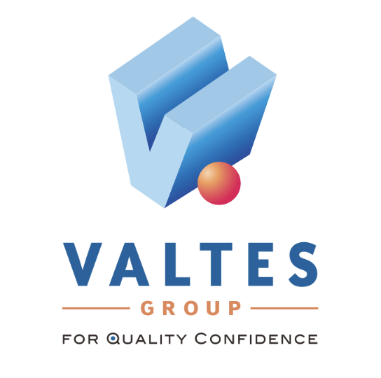 バルテス・ホールディングス株式会社